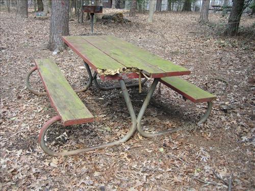 GREE -- Replace Worn and Broken Picnic Tables in the Holly Picnic Area at Greenbelt Park