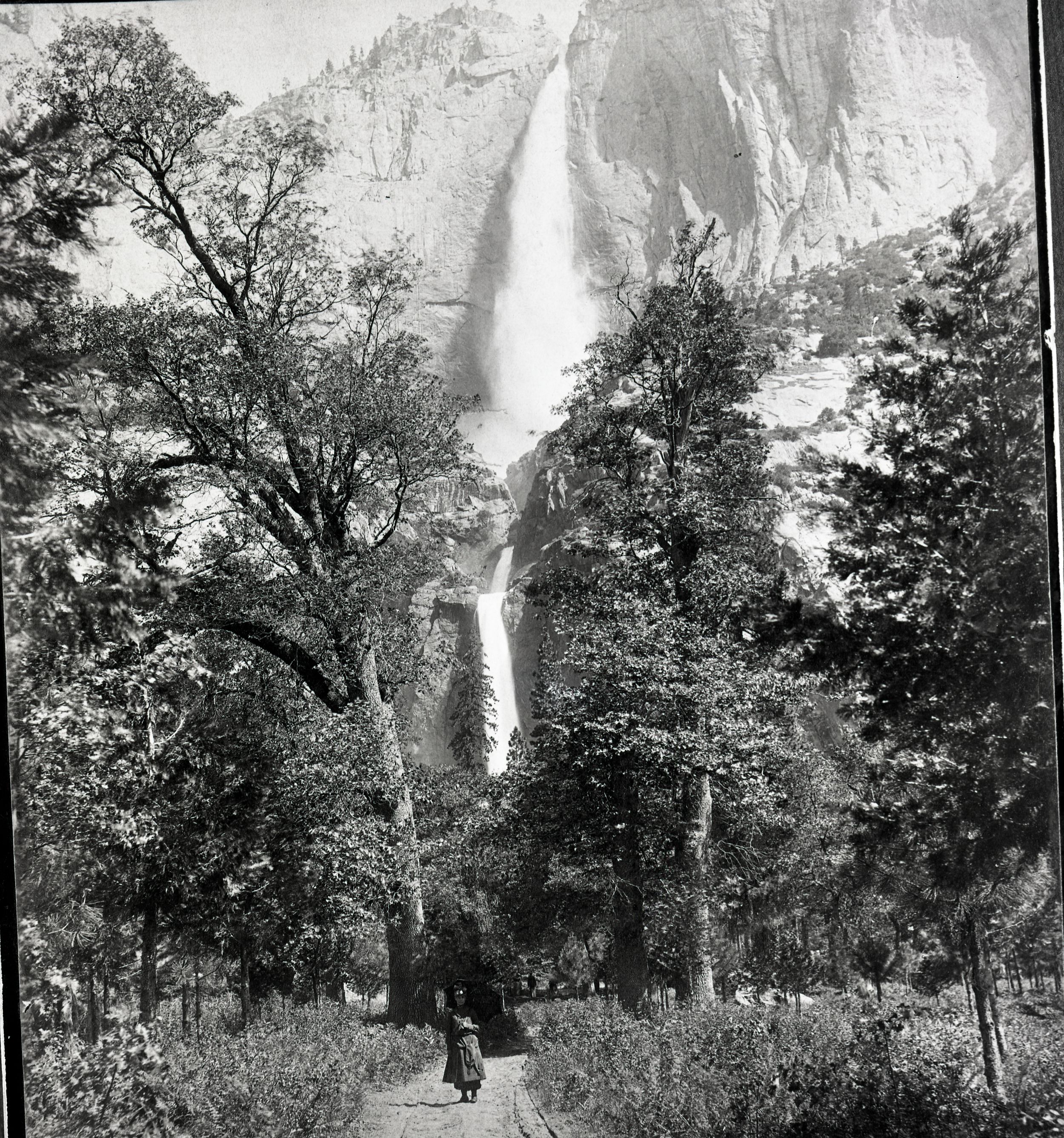 Original print in Yosemite Collections. This is a copy negative made by Michael Dixon from print in a photo album. Note: C.R. Savage, Salt Lake, appears several times in Big Tree Station hotel register, Yosemite Collection no. 34,898.