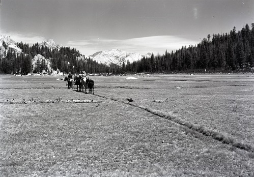 Saddle party in canyon north of Glen Aulin.