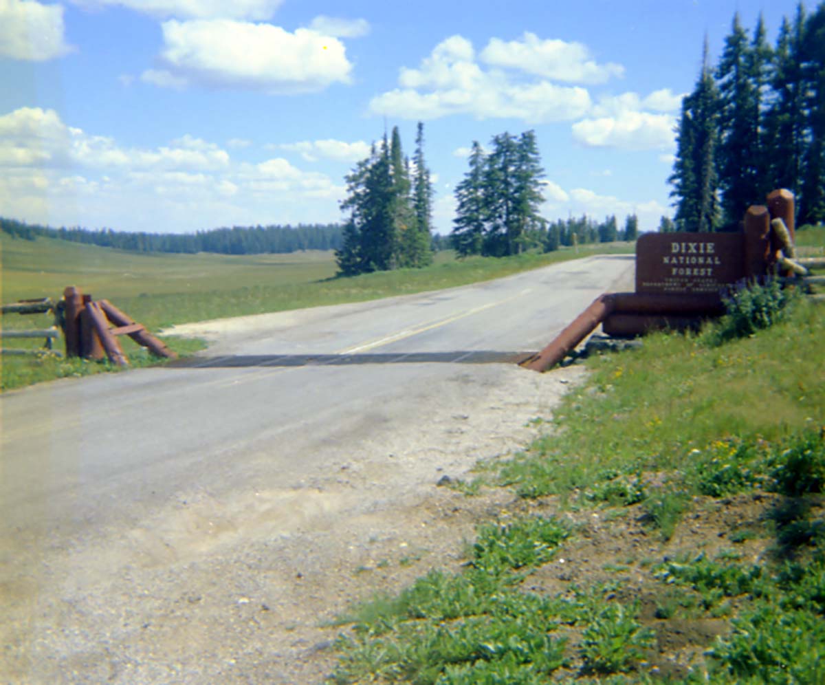 Color photos of aspects of the Cedar Breaks water system.