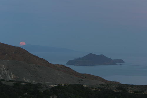 Santa Cruz_20070304_6240