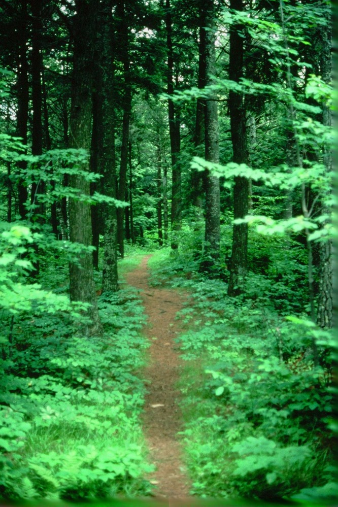 Springtime on the Trail is a time of renewal.