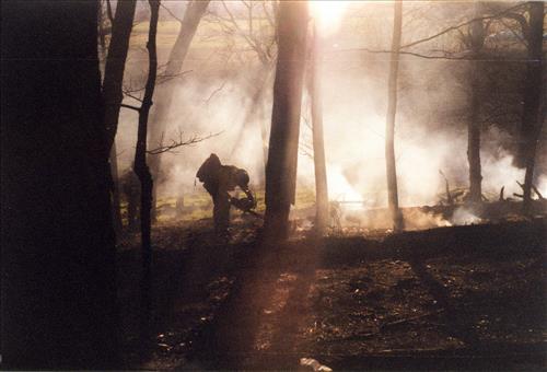 Great Smoky Mountains NP fire staff working, 2002-2004