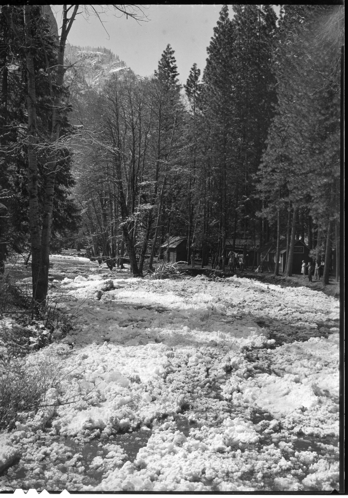 Yosemite Creek