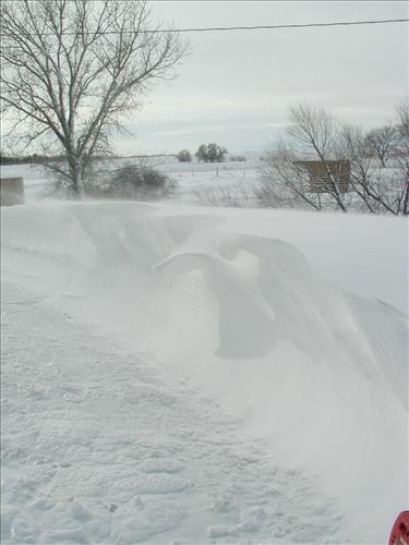 November 2008 Blizzard