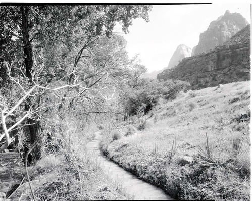 Old irrigation ditch at the mouth of Zion Canyon.