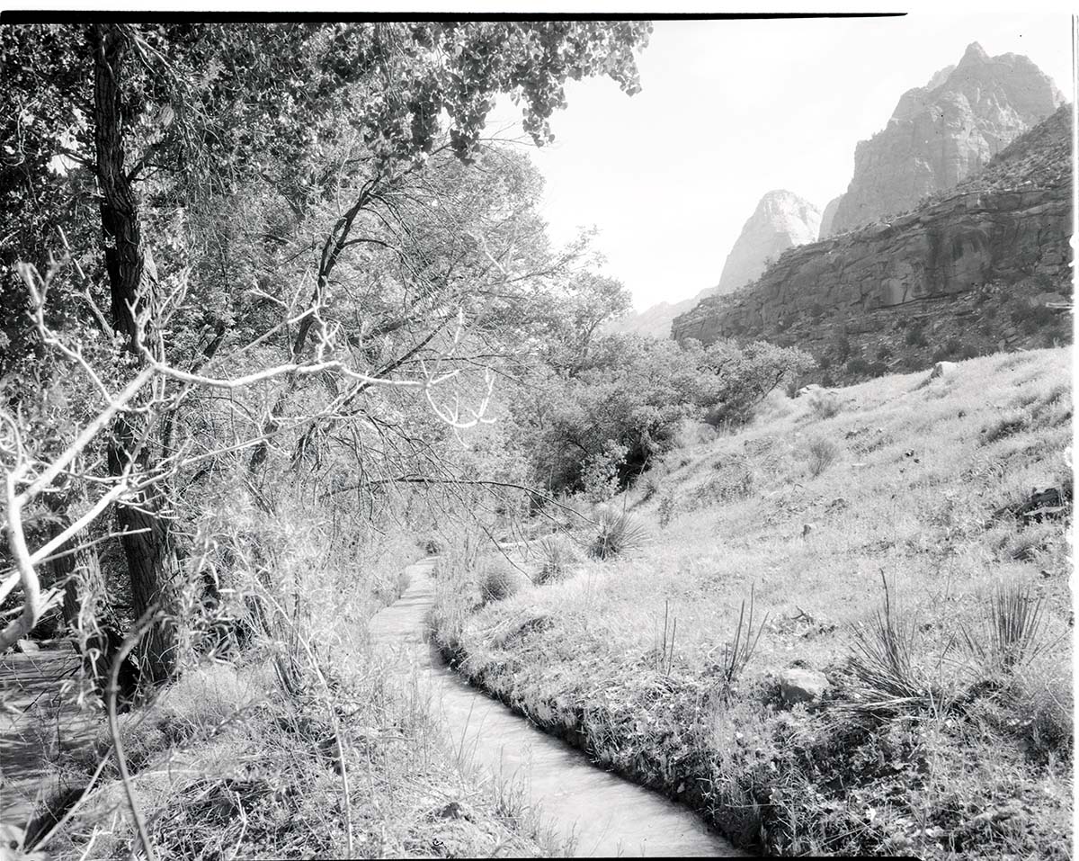 Old irrigation ditch at the mouth of Zion Canyon.