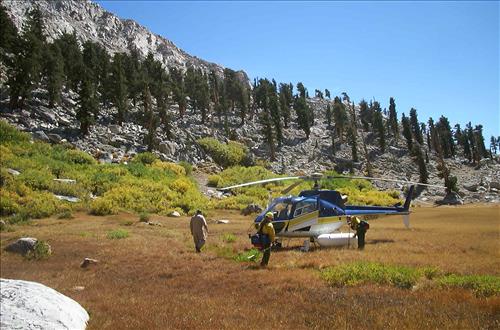 Rock Creek wildfire, Sequoia and Kings Canyon National Parks, September 2002