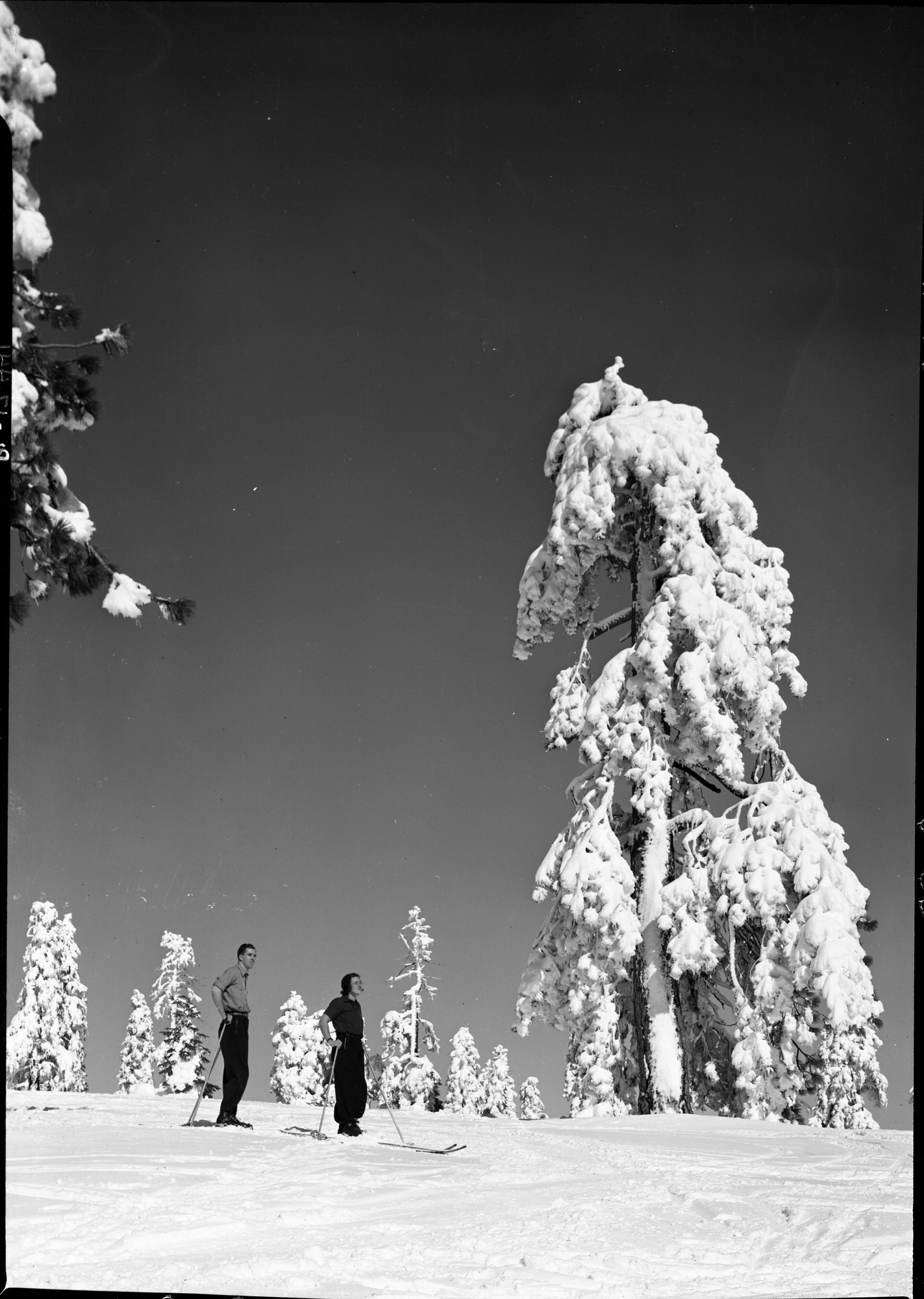 Skiers at Badger Pass