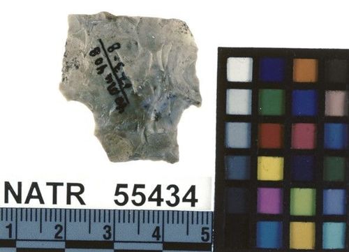 NATR   55434 -- Untyped projectile point