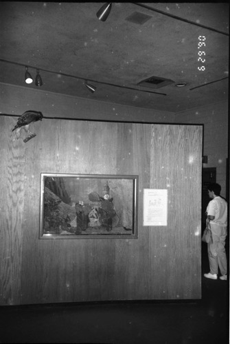 Piece of art on display in the old Mission 66 Visitor Center and Museum.