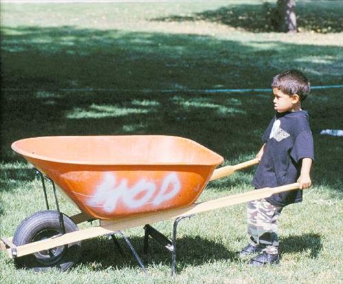 Native vegetation restoration, Sun Valley Neighborhood, Denver