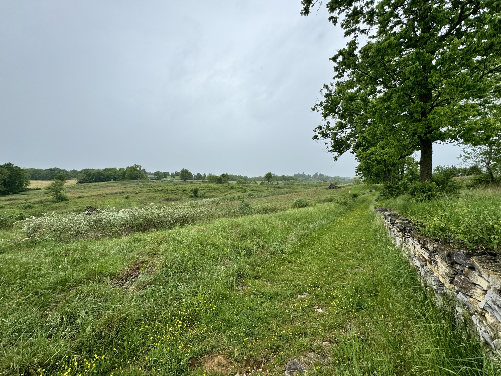 Site visit with park and regional staff to evaluate restoration projects in the park.