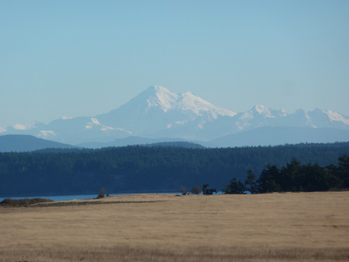 from the bottom up: brown grassy field, then a small stripe of water, then lots of pine trees, then snow capped mountains