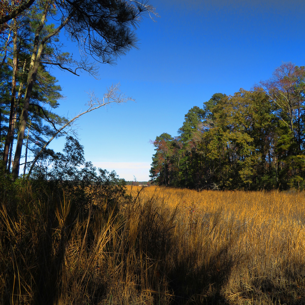 Overlook from Tour Road