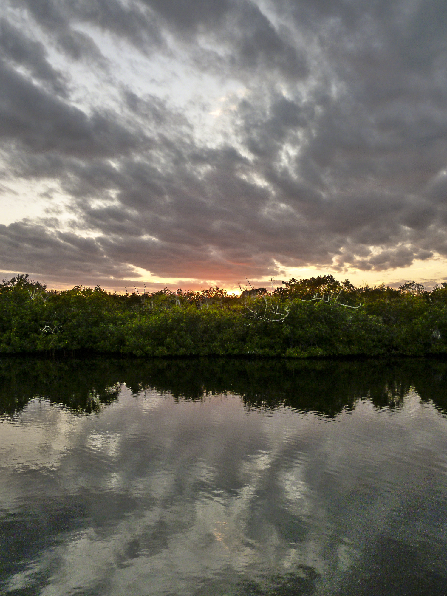 Sunset over a waterway lined with mangroves