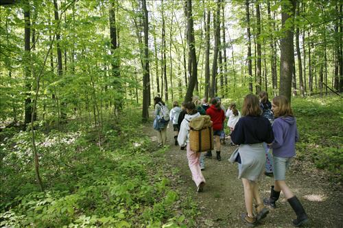 CVEEC Girl Scouts hiking on trail