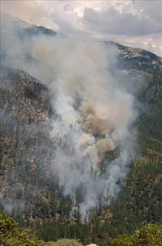 Fire monitors observe fire activity on the Comb Complex wildfire, Sequoia and Kings Canyon National Parks, July 2005