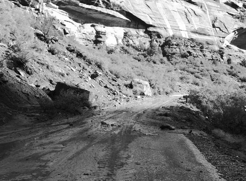 Mud and rock slides on park road.