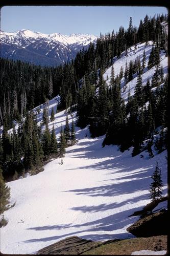 Views of Olympic National Park, Washington