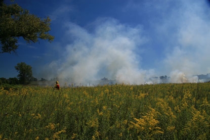 Ranger manages fire of Prescribed Burn at Homestead National Monument of America