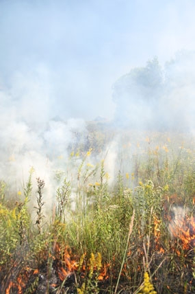 September 2007 Prescribed Burn