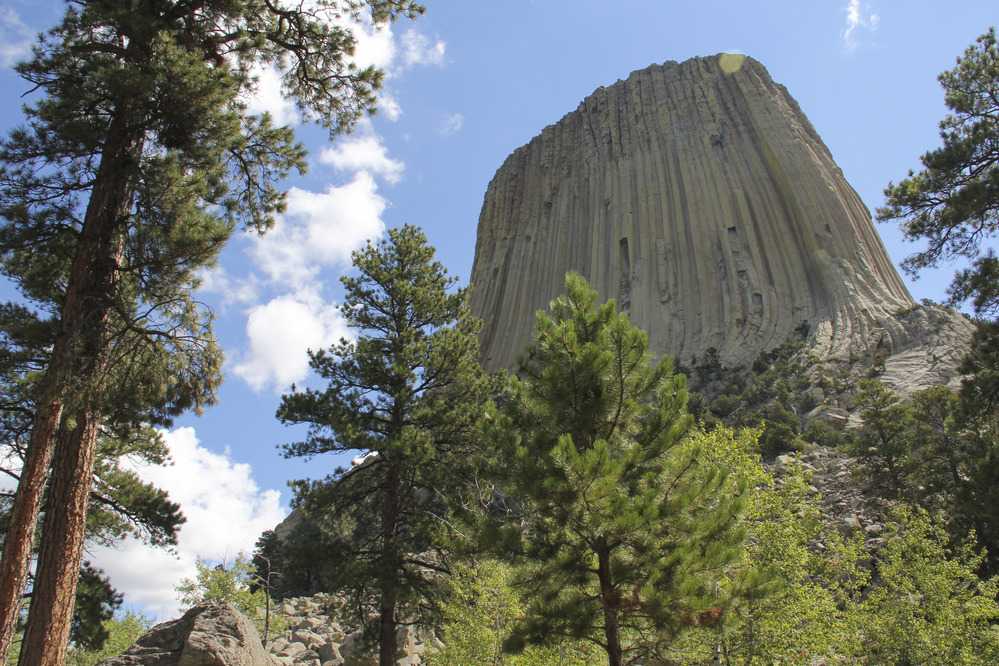 Devils Tower in the woods.