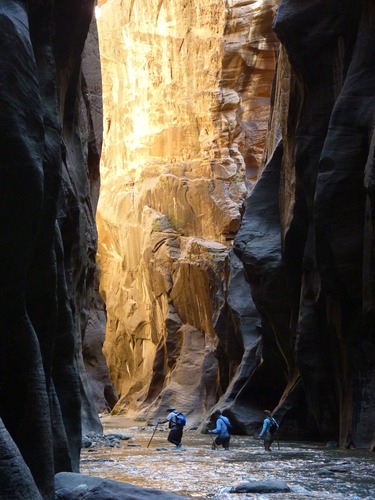 Three hikers walking in the Virgin River between two vertical sandstone walls.