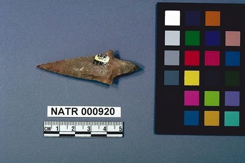 NATR     920 -- Untyped projectile point