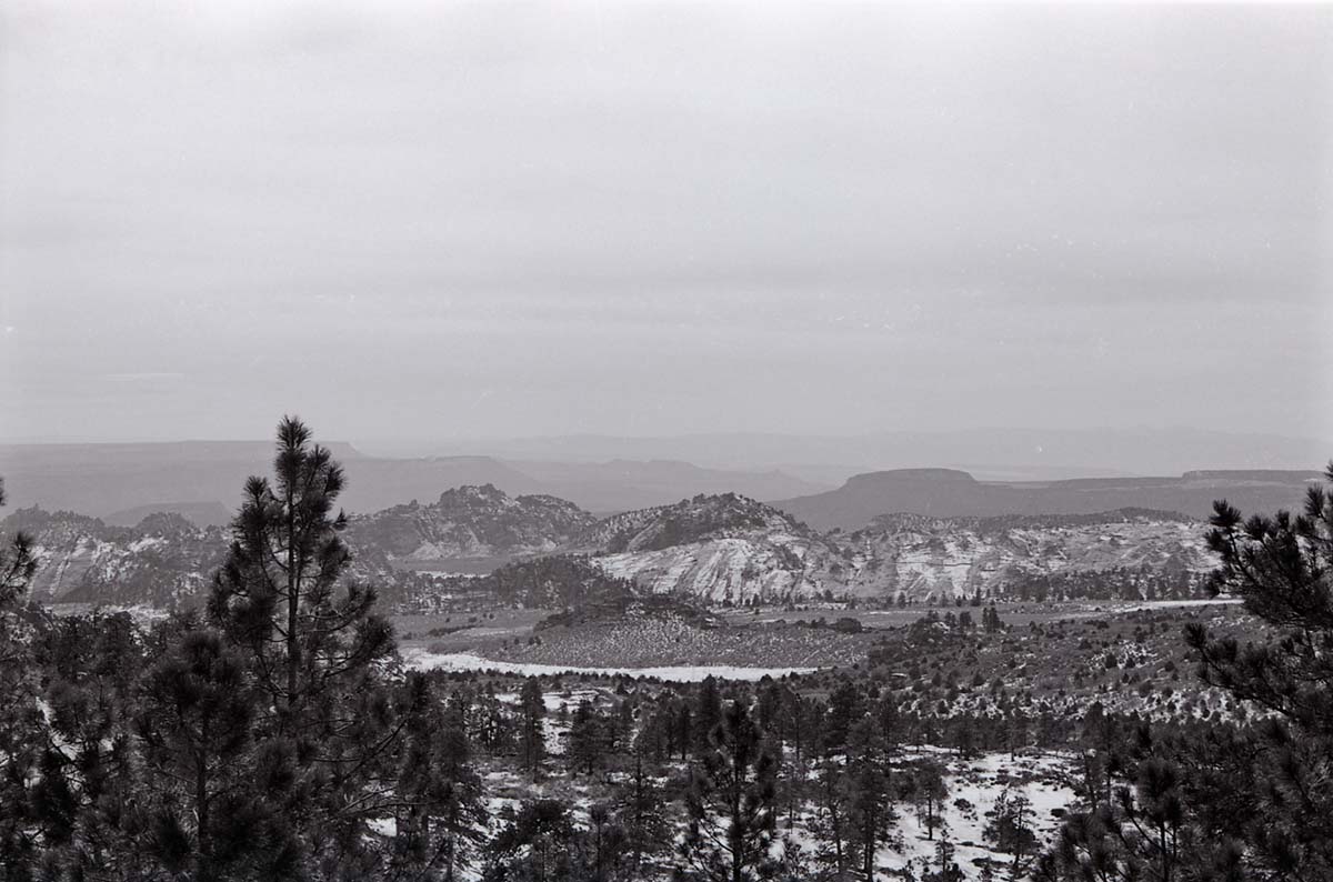 BW photo of the 1937 grazing study 35MM.