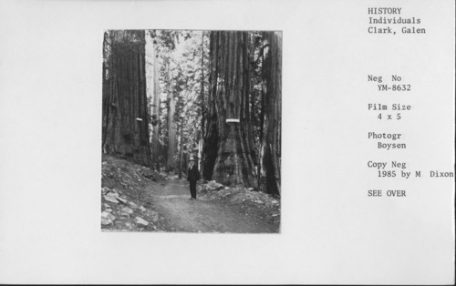 Copy Neg: 1985 by Michael Dixon. Detail of stereograph of Galen Clark standing on dirt road in Mariposa Grove.