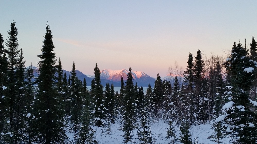 Snowy spruce trees and distant mountains on the trail to Tanalian Falls during winter.