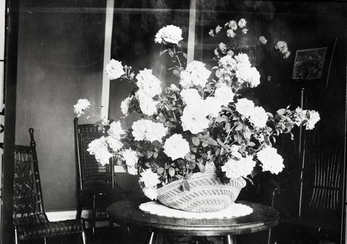 Floral arrangement in Miwok basket by Mrs. Wm. (Etta Grace) Sell Sr. Copied from original in YNP Collection.
