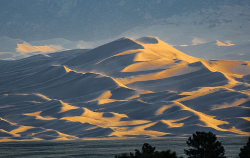 Golden light and shadows highlight a texture of ridges and peaks of sand, with whisps of blowing sand highlighted at the ridge crests by the morning light