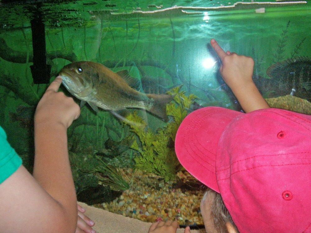 ParKids checking out the animals at the Paul H. Douglas Center.