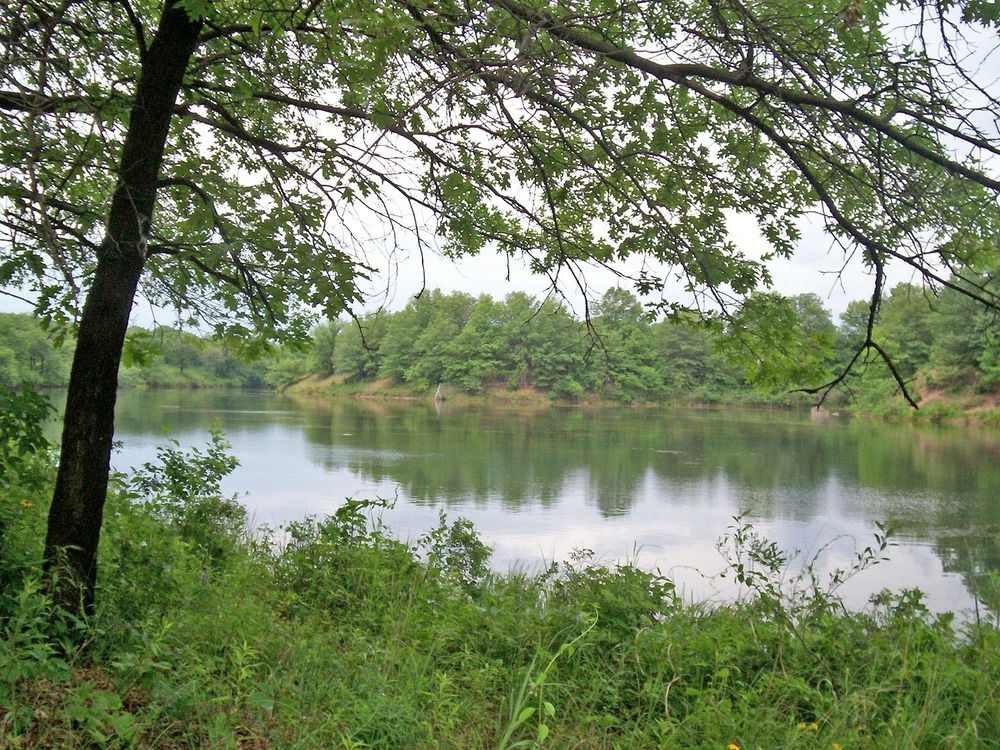 The Miller Woods ecosystem.