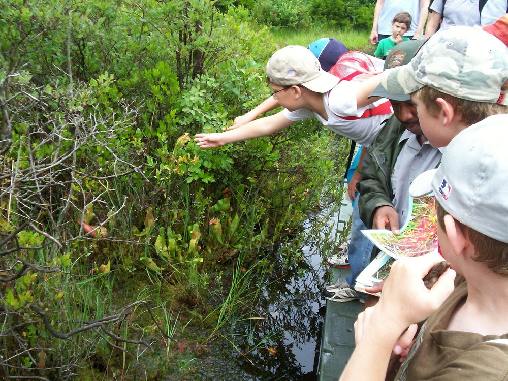 ParKids taking samples at Pinhook Bog