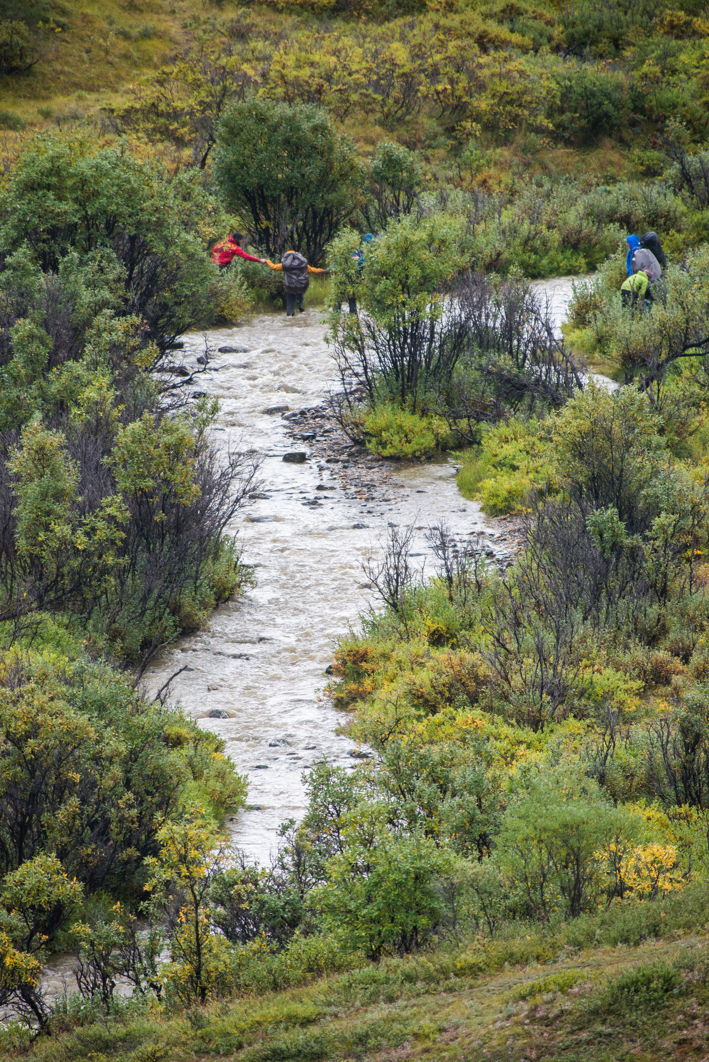 five hikers crossing a calf-deep stream