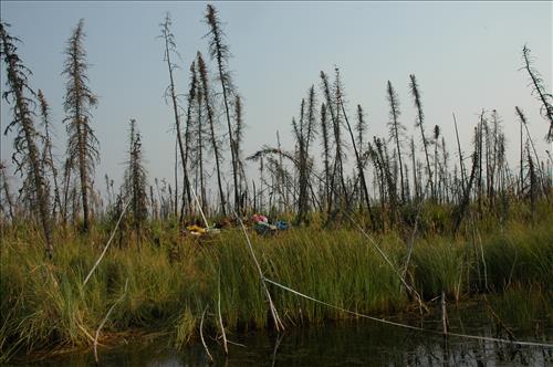 1 Water Quality Testing in Yukon-Charley Rivers National Preserve, August 2005