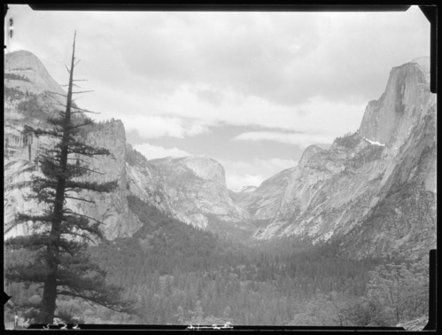 Tenaya Canyon from Ledge Trail, Tenaya Creek.