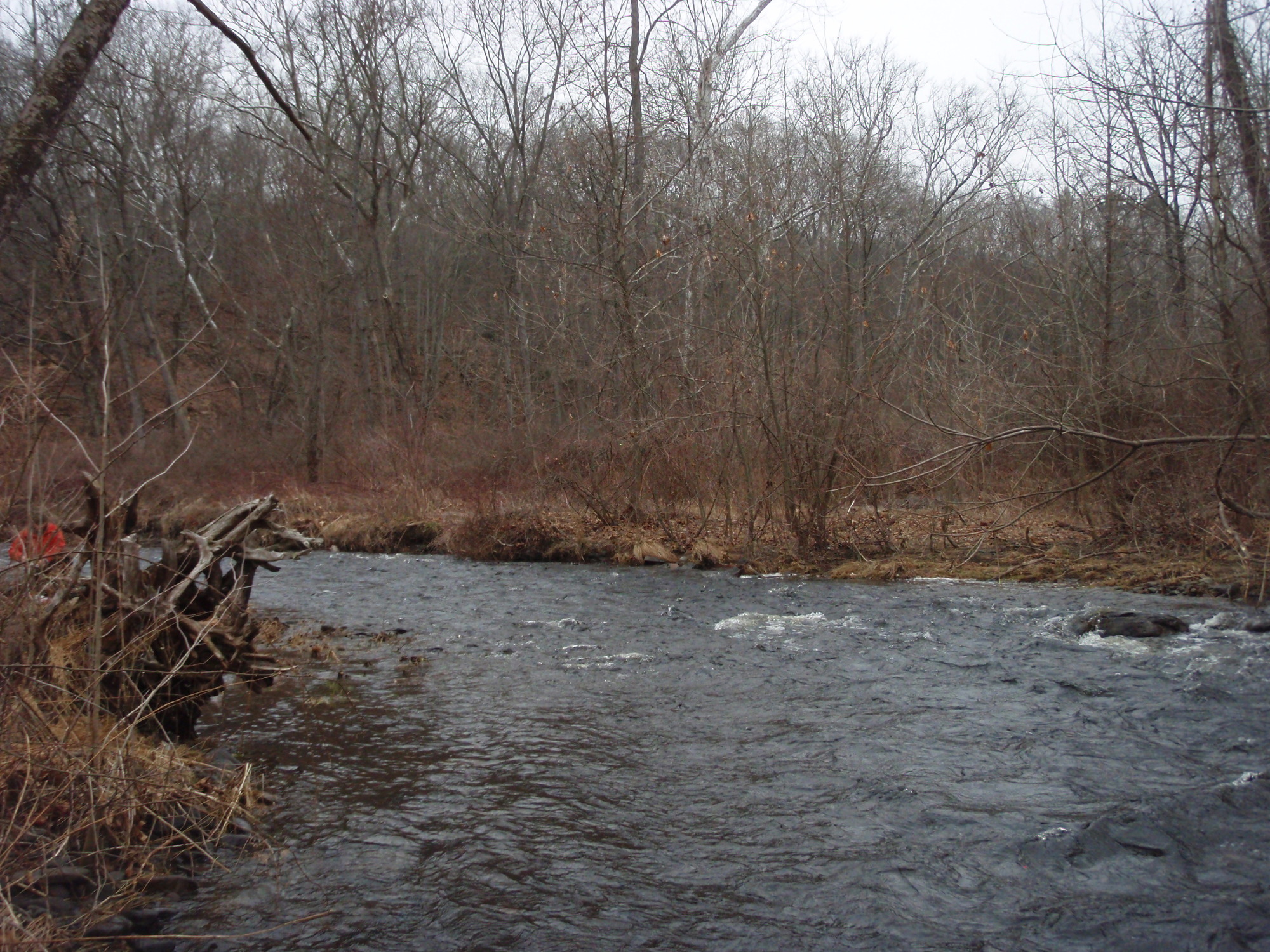 Site visit photo showing the upstream (UP) or downstream (DN) view of a wadeable stream reach taken during benthic macroinvertebrate monitoring at Delaware Water Gap National Recreation Area.