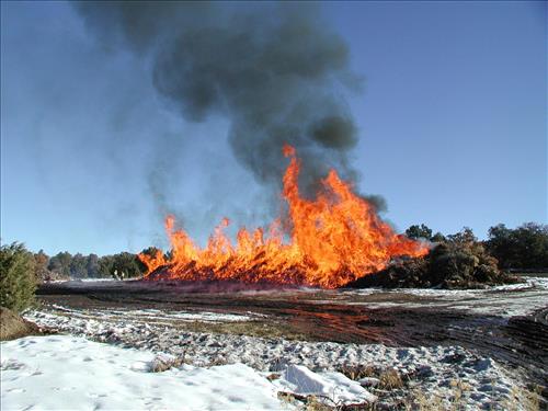Brush pile burn as part of fuel reduction, Mesa Verde National Park, Jan. 2002