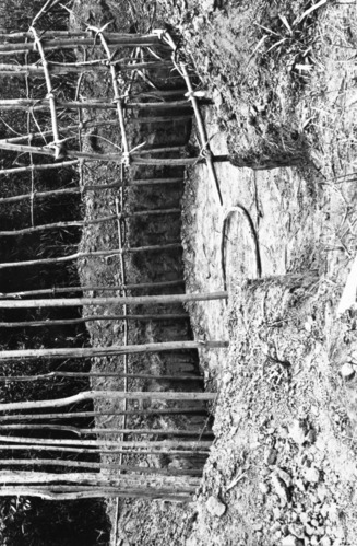 Copy Neg: April 2001, L. Radanovich. House framework. Copied from the Frank Latta photo collection in the Yosemite Museum (Box 6, House-Native Americans file).