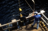 Underwater Video Diver on Ladder