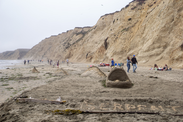 A sand sculpture of a seashore serpent with a bulbous head and open mouth swimming at the water's (e.g., sand's) surface with parts of its long back visible.