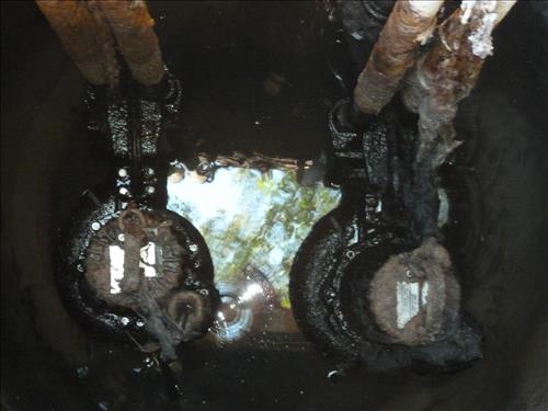 Replace 6 Sewage Pumps in Cabin Camps 1 and 4