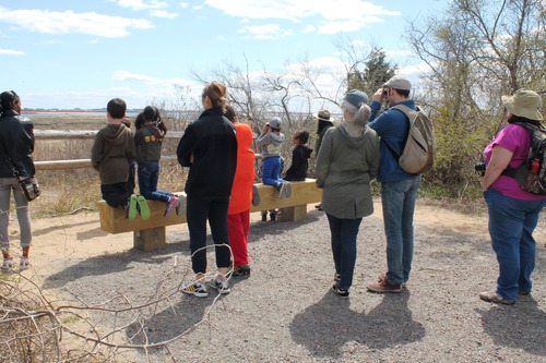 Families on a ranger led hike