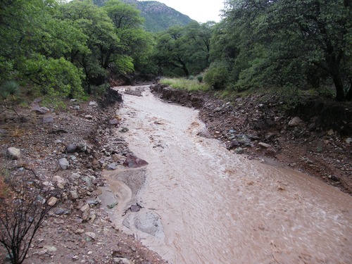 Flood waters in Montezuma Wash