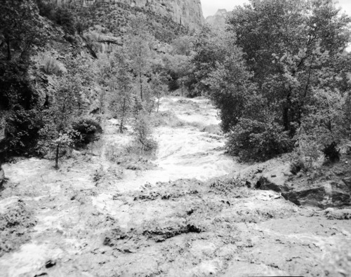 Virgin River in flood stage at the area of the 'Great Slide' below the Court of the Patriarchs.