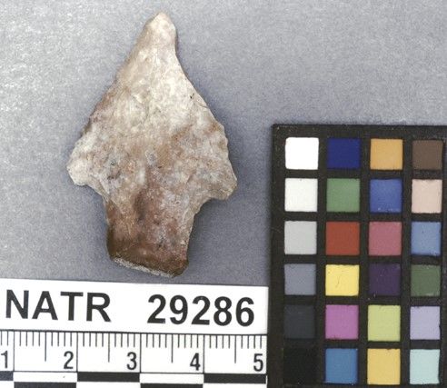 NATR   29286 -- Wade projectile point
